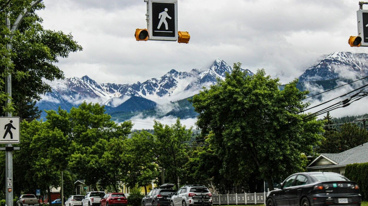 A traffic light that is on the side of a road
